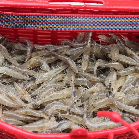 Le Appartement Varaville